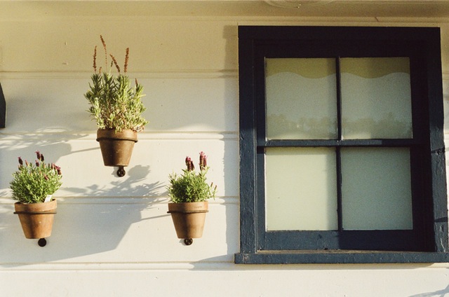 house-window-flowerpots